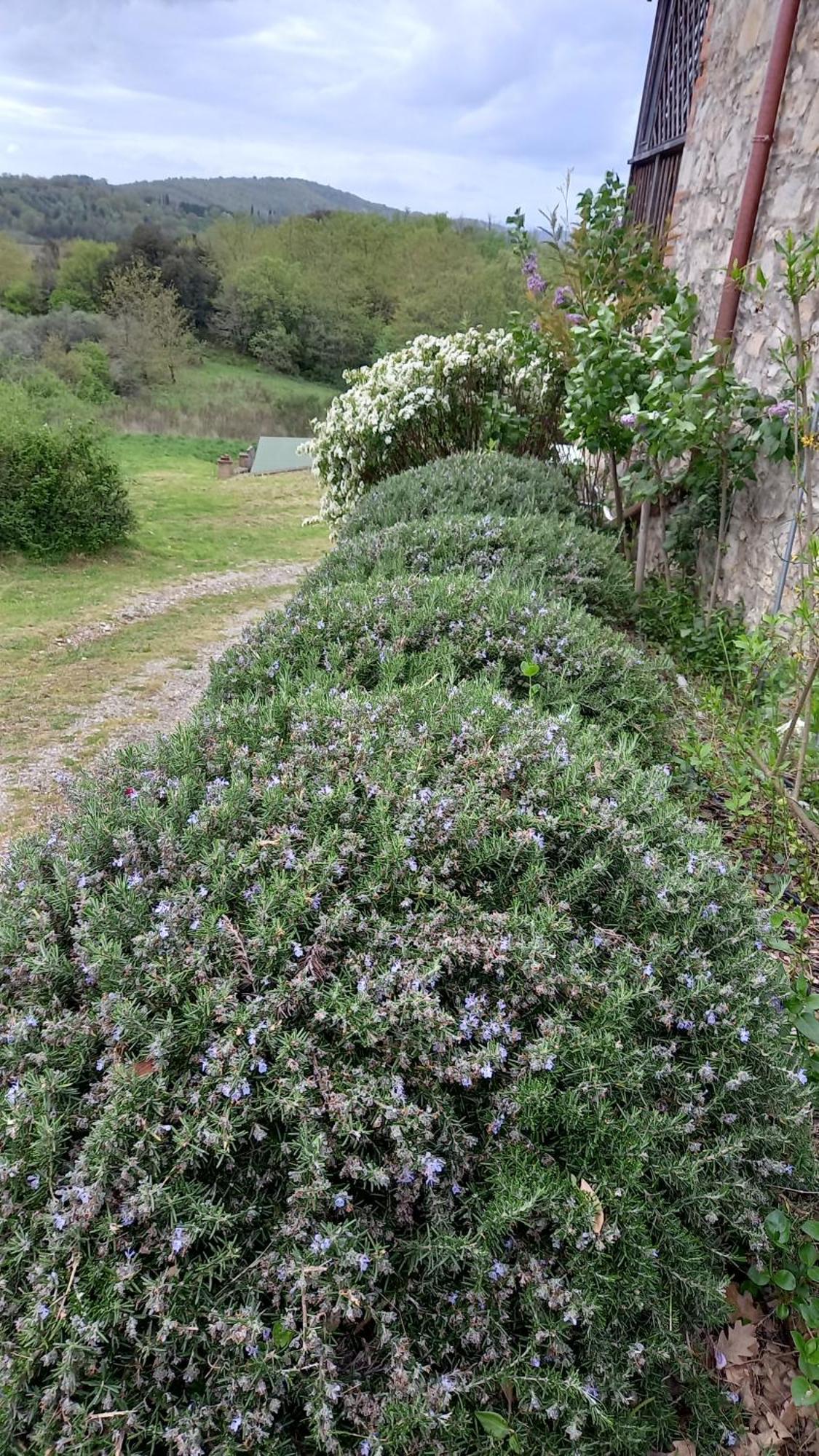 רפולאנו טרמה Podere Casalbosco - Idromassaggio E Panorama מראה חיצוני תמונה